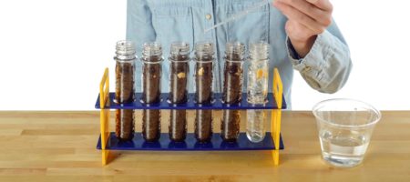 Growing Plants in a Test Tube - Step 9