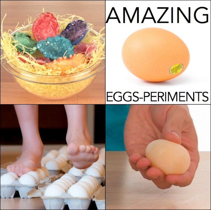Amazing Egg Experiments - Steve Spangler